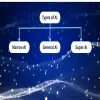 types of ai